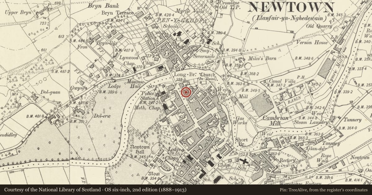 Ordnance Survey six-inch map, 2nd edition (1888–1913) covering the location of Black Boy Hotel, Newtown and Llanllwchaiarn, Powys, with a pin at the register's coordinates