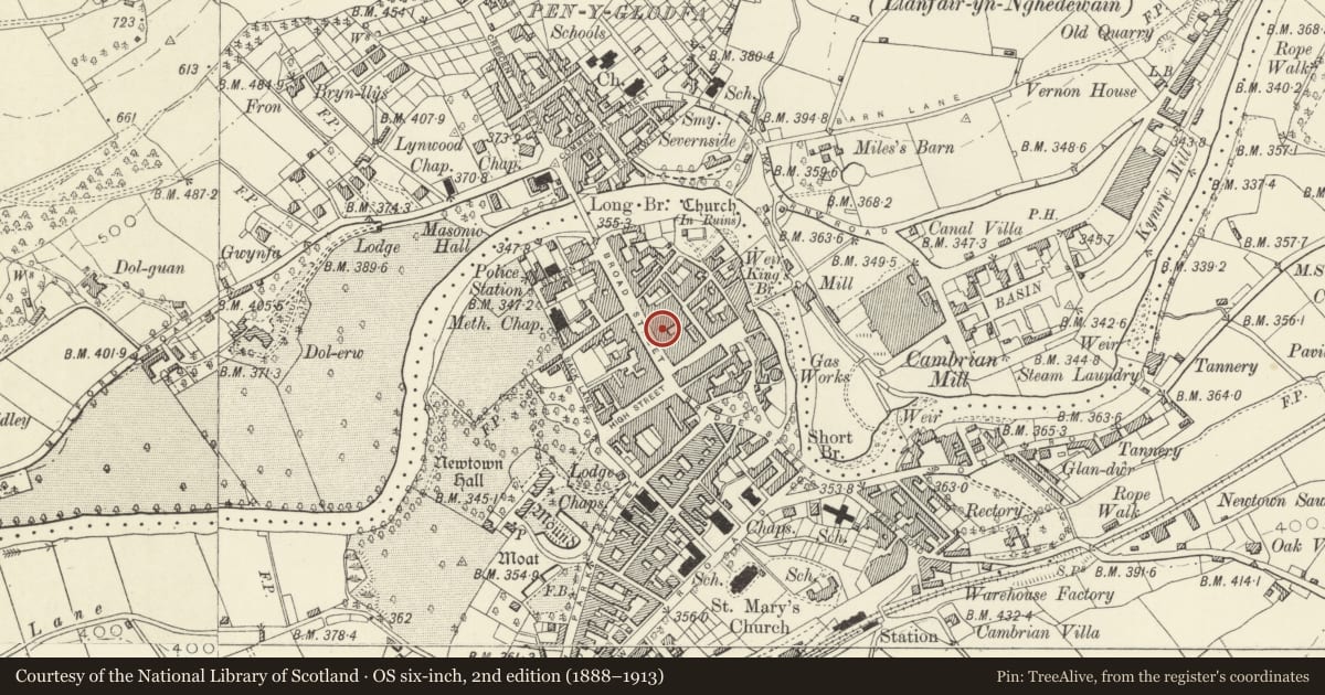 Ordnance Survey six-inch map, 2nd edition (1888–1913) covering the location of Castle Vaults PH, Newtown and Llanllwchaiarn, Powys, with a pin at the register's coordinates