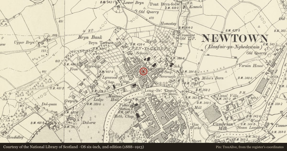 Ordnance Survey six-inch map, 2nd edition (1888–1913) covering the location of Plasgwyn, Newtown and Llanllwchaiarn, Powys, with a pin at the register's coordinates