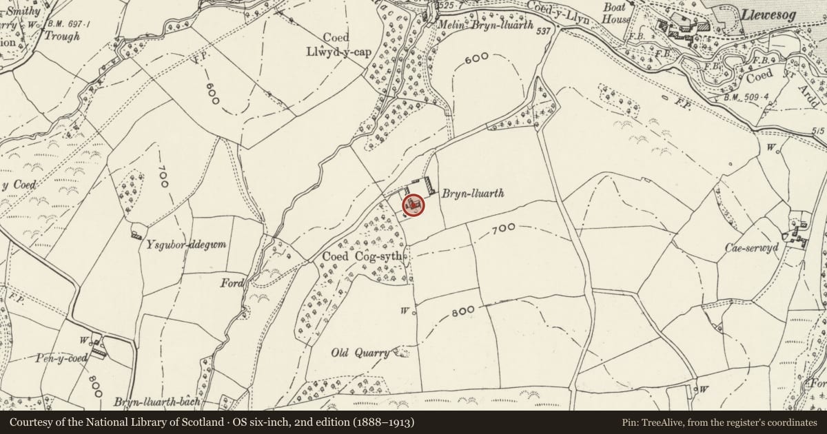 Ordnance Survey six-inch map, 2nd edition (1888–1913) covering the location of Brynlluarth, Llanrhaeadr yng Nghinmeirch, Denbighshire, with a pin at the register's coordinates