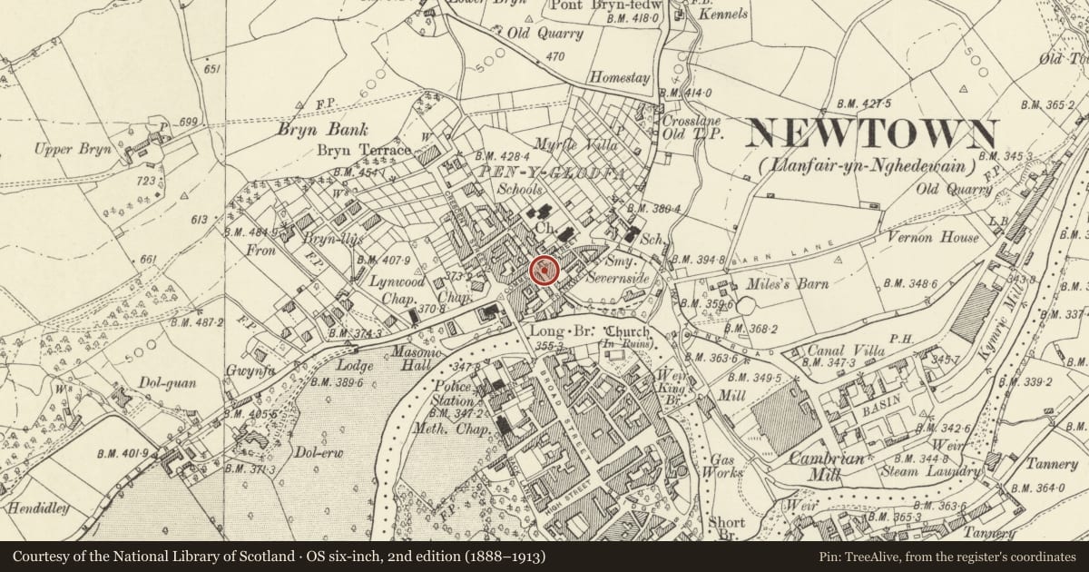 Ordnance Survey six-inch map, 2nd edition (1888–1913) covering the location of Premises of Wright's Radio and Roberts & Quinn, Newtown and Llanllwchaiarn, Powys, with a pin at the register's coordinates