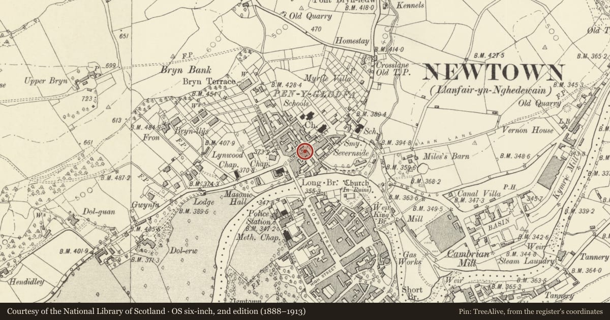 Ordnance Survey six-inch map, 2nd edition (1888–1913) covering the location of Martin Harris (Butcher), Newtown and Llanllwchaiarn, Powys, with a pin at the register's coordinates