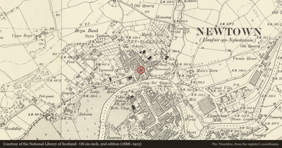 Ordnance Survey six-inch map, 2nd edition (1888–1913) covering the location of 46 Commercial Street, Newtown and Llanllwchaiarn, Powys, with a pin at the register's coordinates