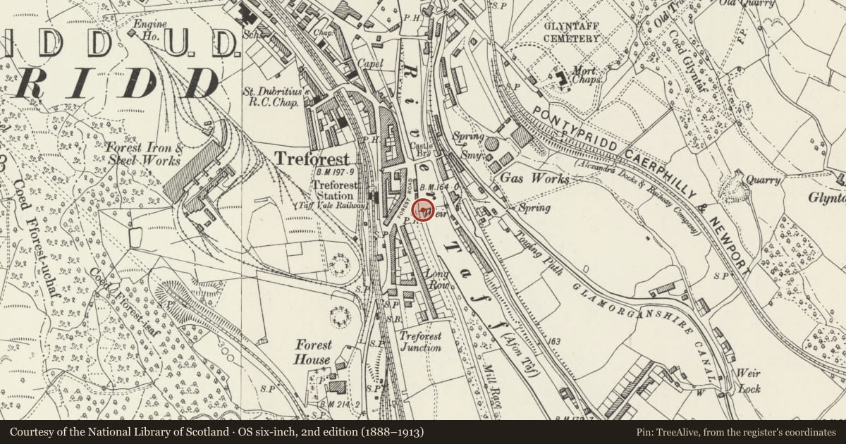 Ordnance Survey six-inch map, 2nd edition (1888–1913) covering the location of Treforest Tinplate Works Feeder Sluice and Weir, Pontypridd, Rhondda Cynon Taff, with a pin at the register's coordinates