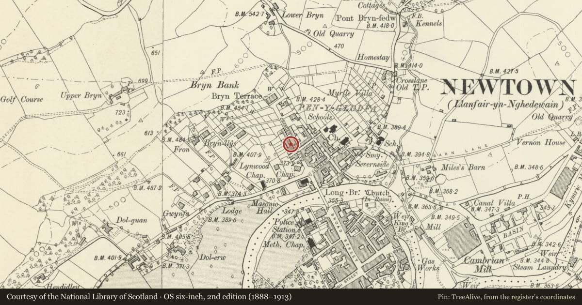 Ordnance Survey six-inch map, 2nd edition (1888–1913) covering the location of 12 Crescent Street, Newtown and Llanllwchaiarn, Powys, with a pin at the register's coordinates