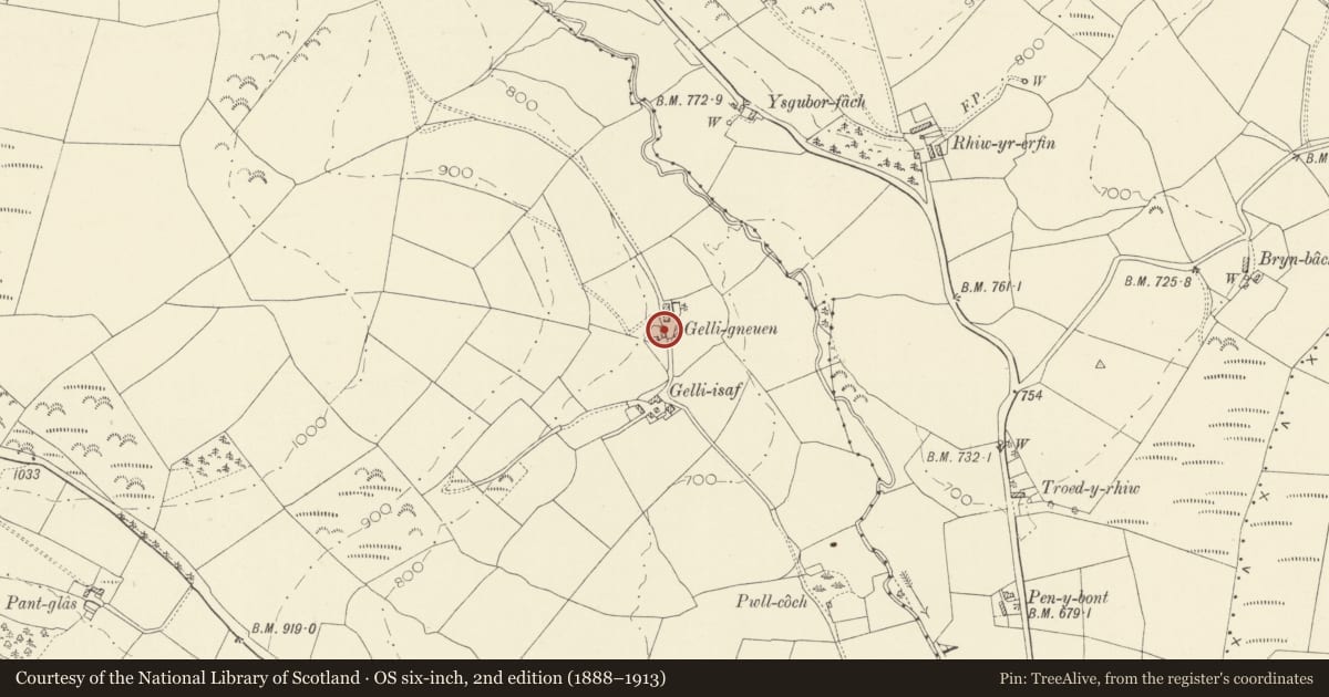 Ordnance Survey six-inch map, 2nd edition (1888–1913) covering the location of Barn, cart shed and stable at Gelli Uchaf, Llanybydder, Carmarthenshire, with a pin at the register's coordinates