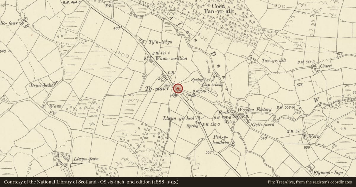 Ordnance Survey six-inch map, 2nd edition (1888–1913) covering the location of Former cottage to W of Beehive Cottage, Llanybydder, Carmarthenshire, with a pin at the register's coordinates