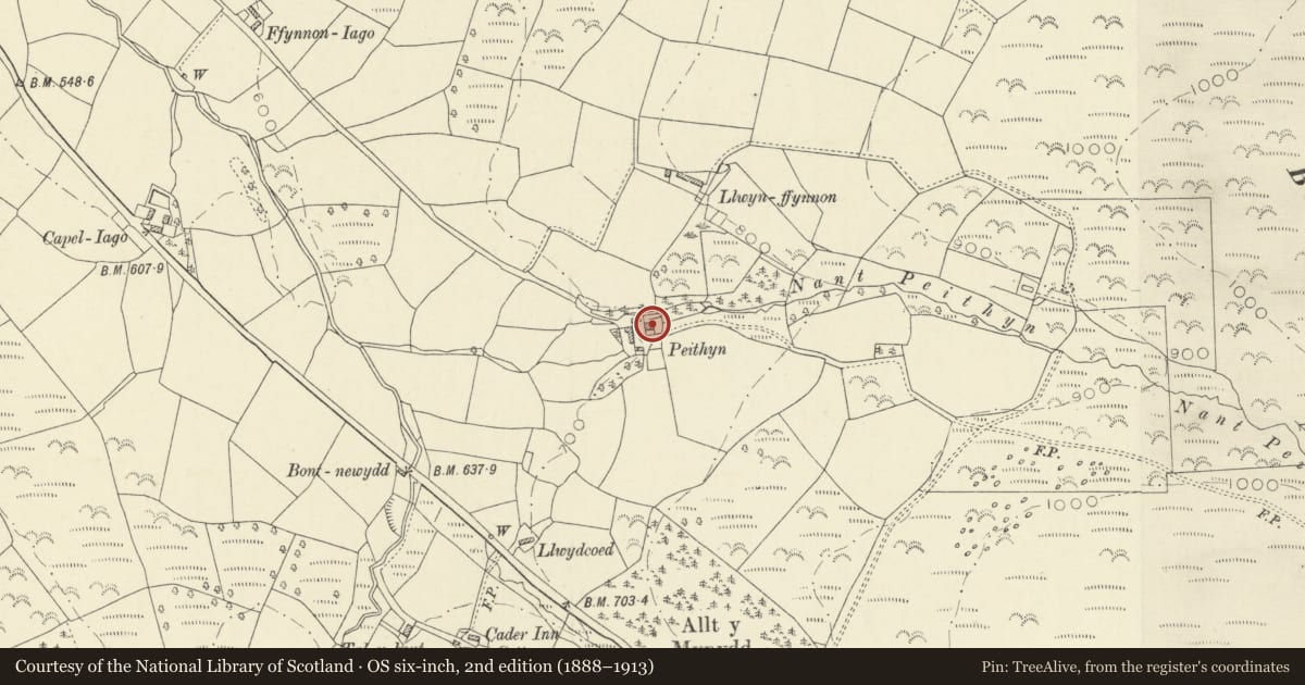 Ordnance Survey six-inch map, 2nd edition (1888–1913) covering the location of Peithyn, including attached garden walls, Llanybydder, Carmarthenshire, with a pin at the register's coordinates