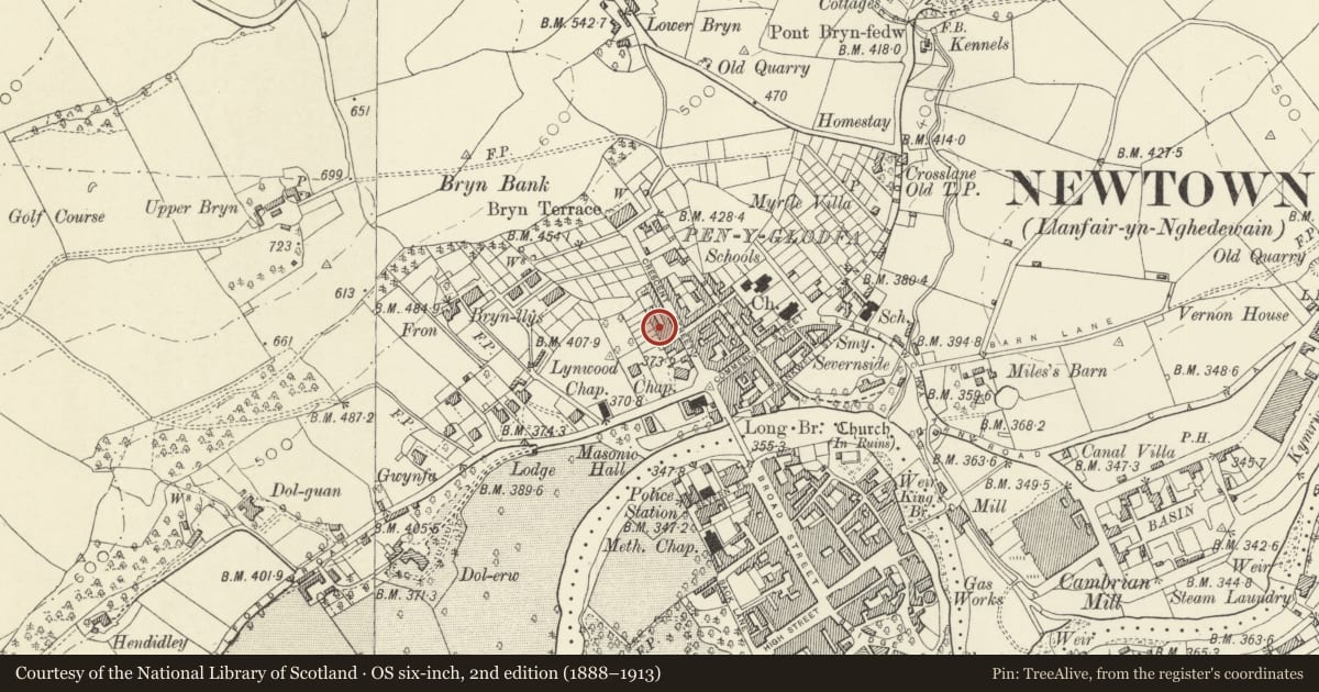 Ordnance Survey six-inch map, 2nd edition (1888–1913) covering the location of Domestic, Newtown and Llanllwchaiarn, Powys, with a pin at the register's coordinates