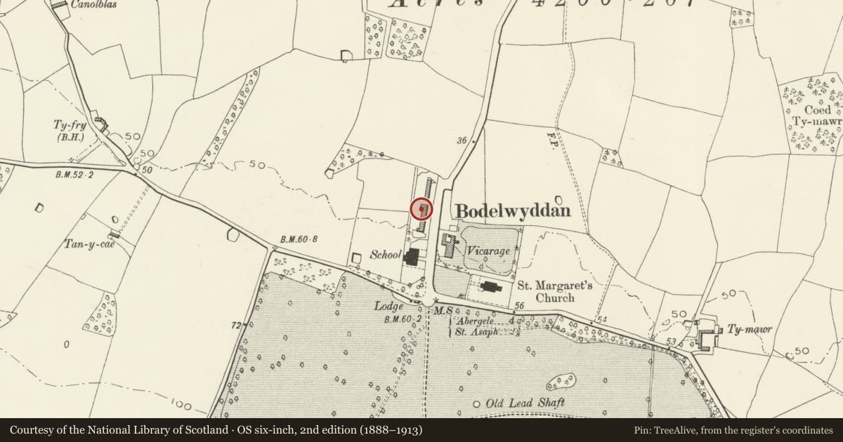Ordnance Survey six-inch map, 2nd edition (1888–1913) covering the location of 10, The Village, Bodelwyddan, Denbighshire, with a pin at the register's coordinates