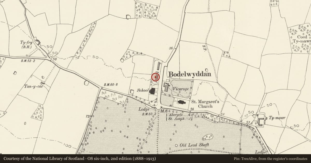 Ordnance Survey six-inch map, 2nd edition (1888–1913) covering the location of 14, The Village, Bodelwyddan, Denbighshire, with a pin at the register's coordinates