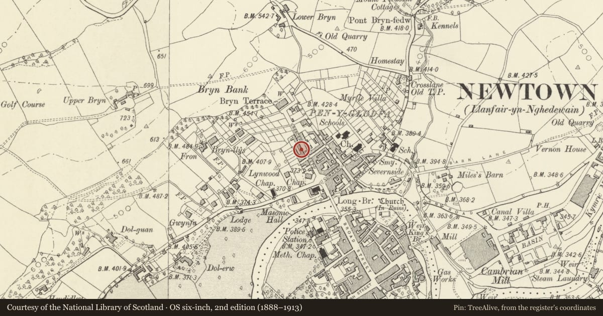 Ordnance Survey six-inch map, 2nd edition (1888–1913) covering the location of 13 Crescent Street, Newtown and Llanllwchaiarn, Powys, with a pin at the register's coordinates