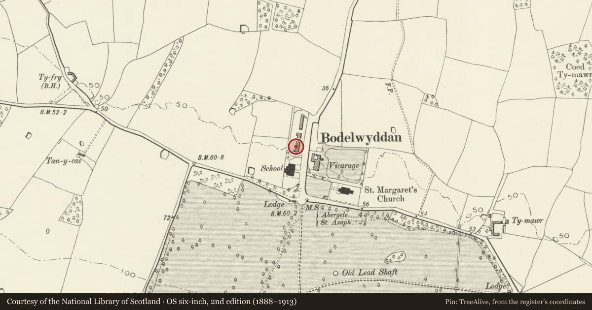 Ordnance Survey six-inch map, 2nd edition (1888–1913) covering the location of 16, The Village, Bodelwyddan, Denbighshire, with a pin at the register's coordinates