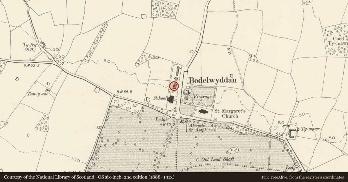 Ordnance Survey six-inch map, 2nd edition (1888–1913) covering the location of 17, The Village, Bodelwyddan, Denbighshire, with a pin at the register's coordinates