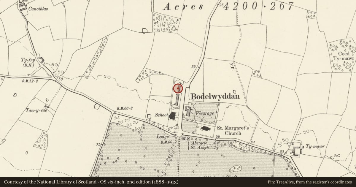 Ordnance Survey six-inch map, 2nd edition (1888–1913) covering the location of 6, The Village, Bodelwyddan, Denbighshire, with a pin at the register's coordinates