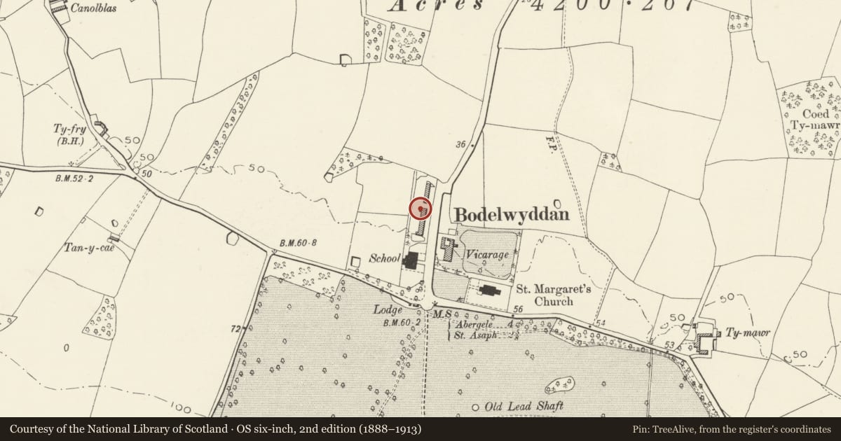 Ordnance Survey six-inch map, 2nd edition (1888–1913) covering the location of 8, The Village, Bodelwyddan, Denbighshire, with a pin at the register's coordinates