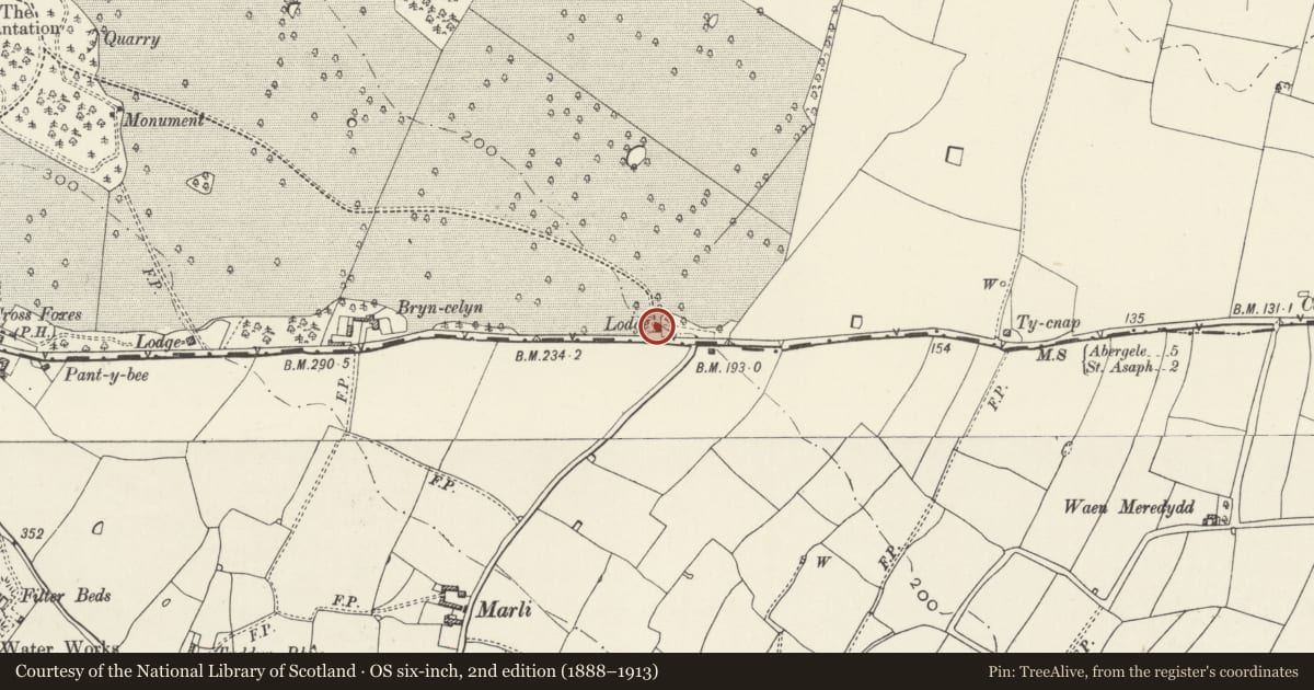 Ordnance Survey six-inch map, 2nd edition (1888–1913) covering the location of Bryn Celyn Lodge on Bodelwyddan Park Boundary, Denbighshire, with a pin at the register's coordinates