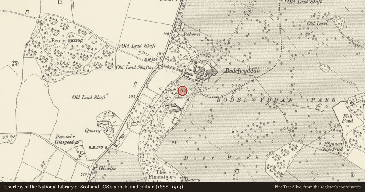 Ordnance Survey six-inch map, 2nd edition (1888–1913) covering the location of Garden Shelter in Bodelwyddan Castle Garden, Denbighshire, with a pin at the register's coordinates