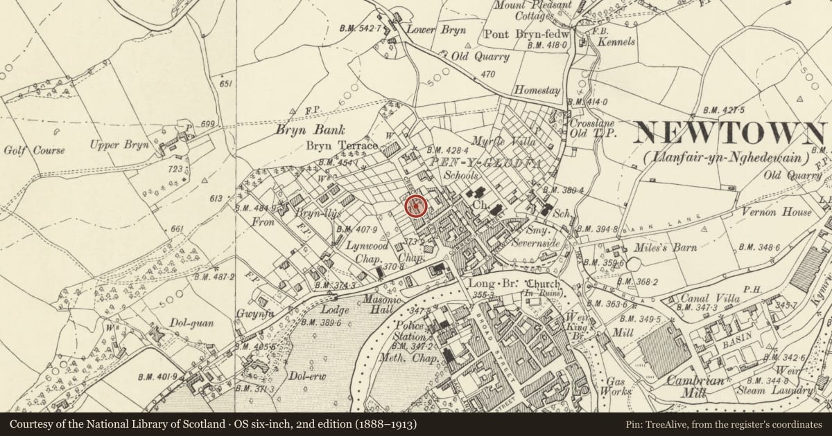 Ordnance Survey six-inch map, 2nd edition (1888–1913) covering the location of 16 Crescent Street, Newtown and Llanllwchaiarn, Powys, with a pin at the register's coordinates