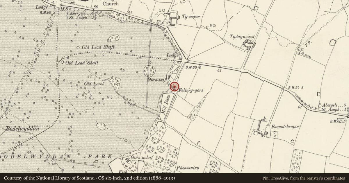 Ordnance Survey six-inch map, 2nd edition (1888–1913) covering the location of Gors Mill Cottage, Bodelwyddan, Denbighshire, with a pin at the register's coordinates