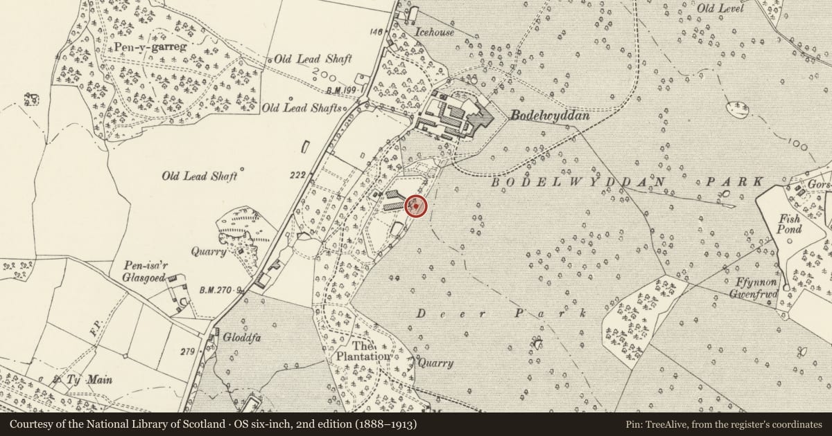 Ordnance Survey six-inch map, 2nd edition (1888–1913) covering the location of Obelisk in Bodelwyddan Castle Garden, Denbighshire, with a pin at the register's coordinates