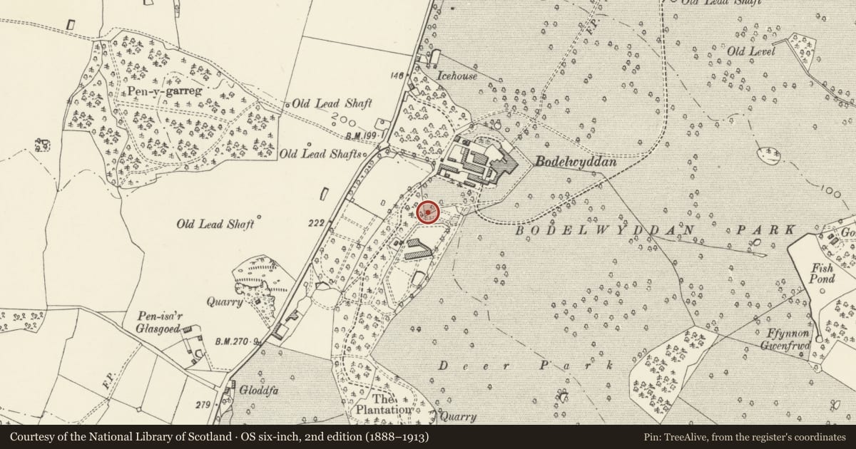 Ordnance Survey six-inch map, 2nd edition (1888–1913) covering the location of Play House in Bodelwyddan Castle Garden, Denbighshire, with a pin at the register's coordinates