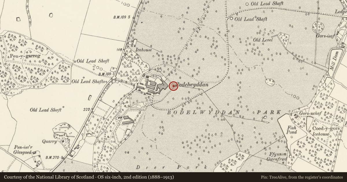 Ordnance Survey six-inch map, 2nd edition (1888–1913) covering the location of Terrace wall of main front of Bodelwyddan Castle, Denbighshire, with a pin at the register's coordinates