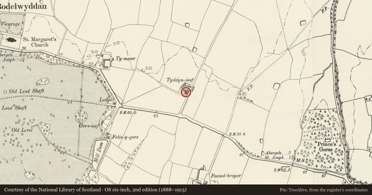 Ordnance Survey six-inch map, 2nd edition (1888–1913) covering the location of Tyddyn-isaf, Bodelwyddan, Denbighshire, with a pin at the register's coordinates