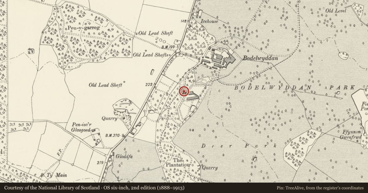 Ordnance Survey six-inch map, 2nd edition (1888–1913) covering the location of Wall of Bodelwyddan Castle Garden with Bothy at W and Gateway at E, Denbighshire, with a pin at the register's coordinates