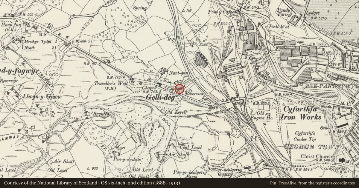 Ordnance Survey six-inch map, 2nd edition (1888–1913) covering the location of 17 Gelli-deg, Cyfarthfa, Merthyr Tydfil, with a pin at the register's coordinates