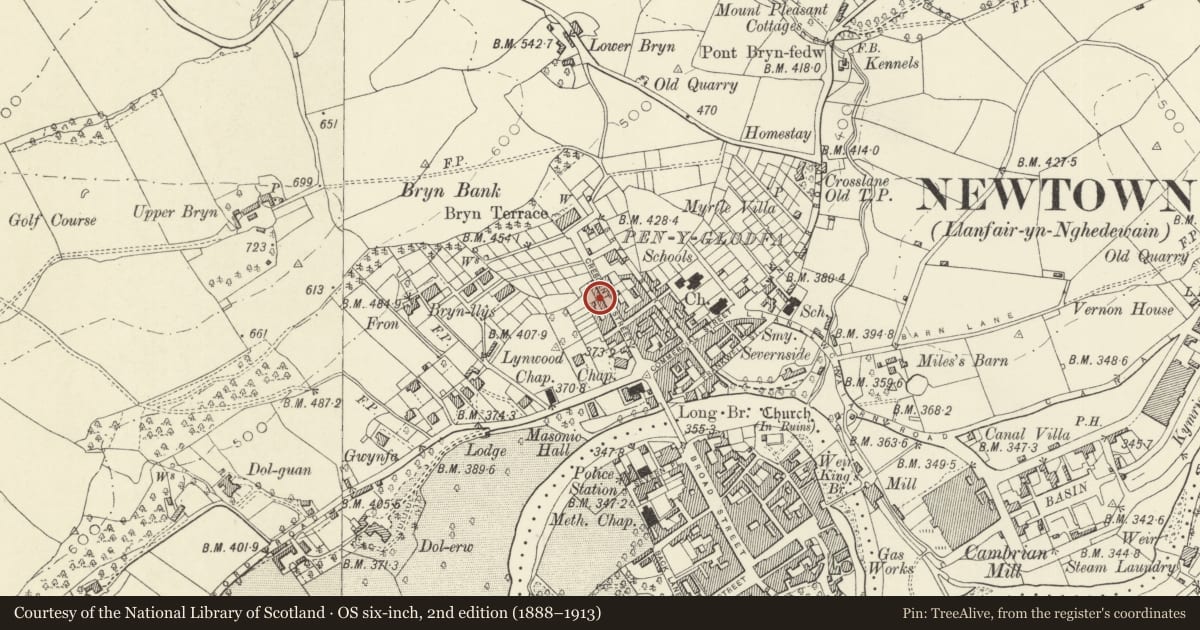 Ordnance Survey six-inch map, 2nd edition (1888–1913) covering the location of 17 Crescent Street, Newtown and Llanllwchaiarn, Powys, with a pin at the register's coordinates
