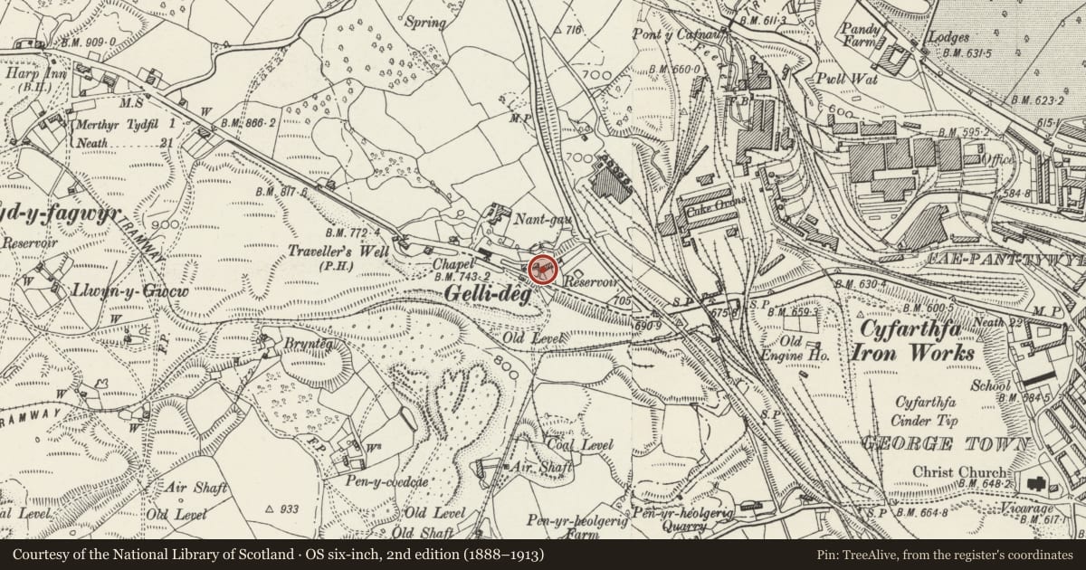 Ordnance Survey six-inch map, 2nd edition (1888–1913) covering the location of 19 Gelli-deg, Cyfarthfa, Merthyr Tydfil, with a pin at the register's coordinates