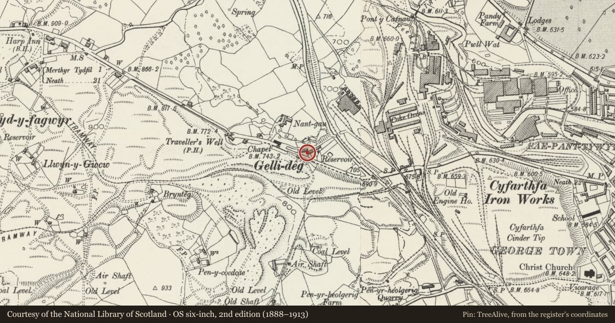 Ordnance Survey six-inch map, 2nd edition (1888–1913) covering the location of 21 Gelli-deg, Cyfarthfa, Merthyr Tydfil, with a pin at the register's coordinates