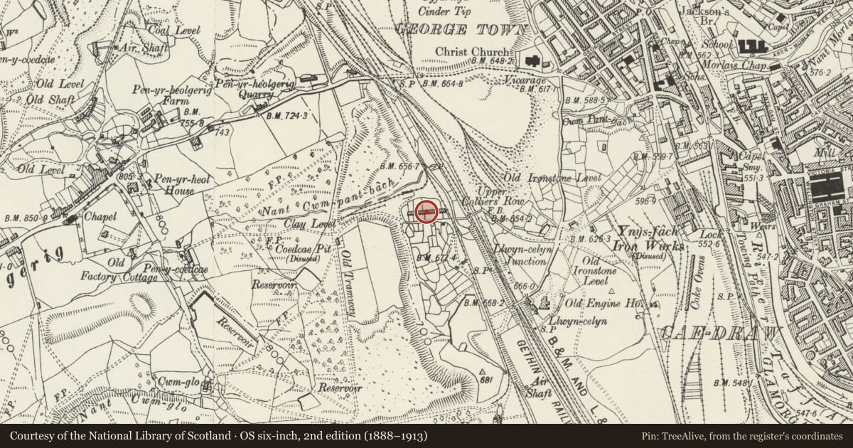 Ordnance Survey six-inch map, 2nd edition (1888–1913) covering the location of 9 Upper Colliers Row, Cyfarthfa, Merthyr Tydfil, with a pin at the register's coordinates