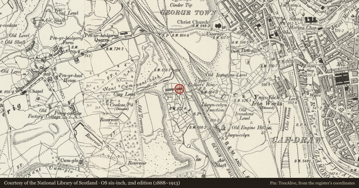 Ordnance Survey six-inch map, 2nd edition (1888–1913) covering the location of 15-16 Upper Colliers Row, Cyfarthfa, Merthyr Tydfil, with a pin at the register's coordinates
