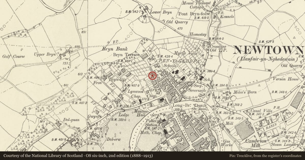 Ordnance Survey six-inch map, 2nd edition (1888–1913) covering the location of 18 Crescent Street, Newtown and Llanllwchaiarn, Powys, with a pin at the register's coordinates