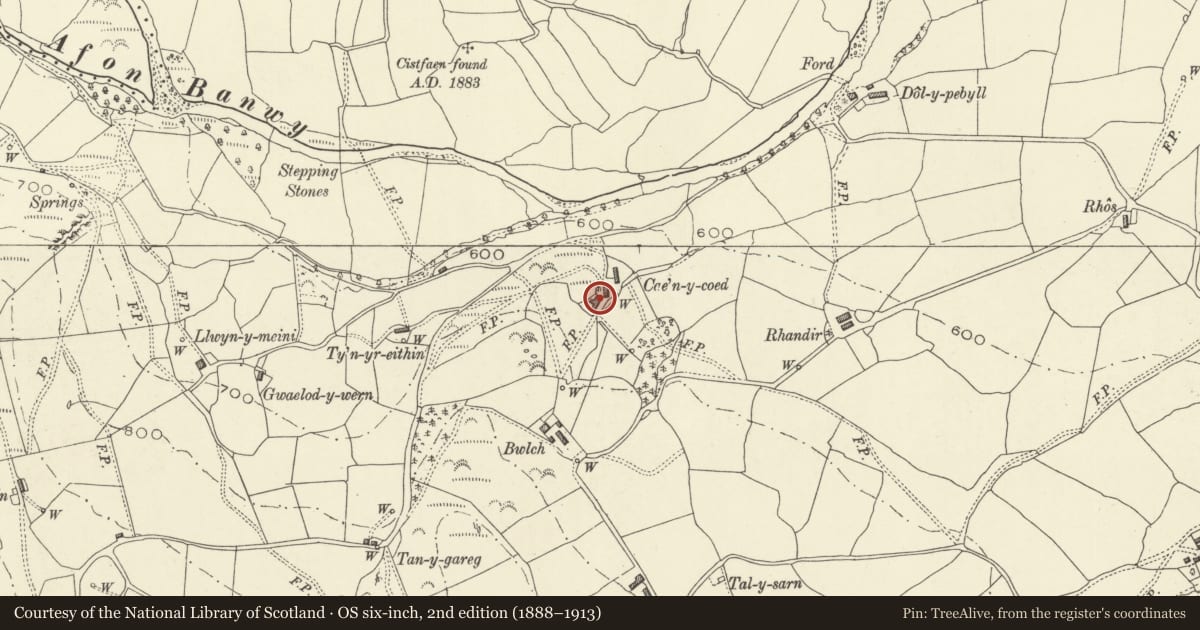 Ordnance Survey six-inch map, 2nd edition (1888–1913) covering the location of Cae'n-y-coed, Banwy, Powys, with a pin at the register's coordinates