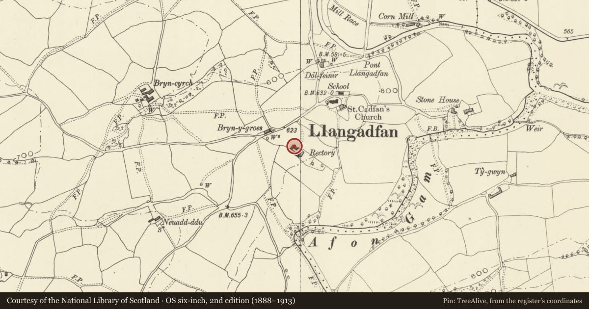 Ordnance Survey six-inch map, 2nd edition (1888–1913) covering the location of Detached Outbuildings Range at Rhiwlas (former Rectory), Banwy, Powys, with a pin at the register's coordinates