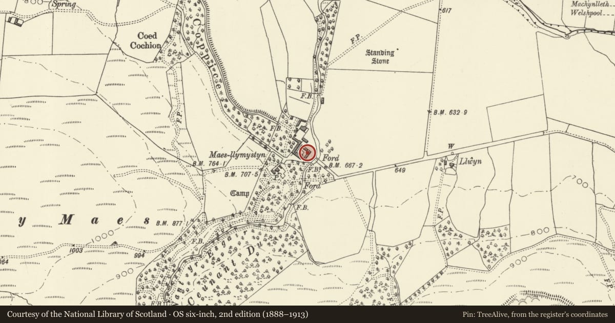Ordnance Survey six-inch map, 2nd edition (1888–1913) covering the location of East Range of Farmyard Buildings at Maesllymystyn, Banwy, Powys, with a pin at the register's coordinates