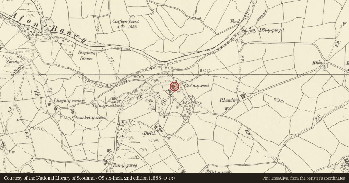 Ordnance Survey six-inch map, 2nd edition (1888–1913) covering the location of Farm Outbuilding at Cae'n-y-coed, Banwy, Powys, with a pin at the register's coordinates