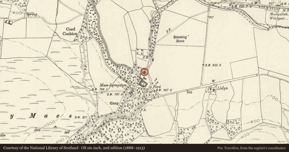 Ordnance Survey six-inch map, 2nd edition (1888–1913) covering the location of Maesllymystyn farmhouse, Banwy, Powys, with a pin at the register's coordinates