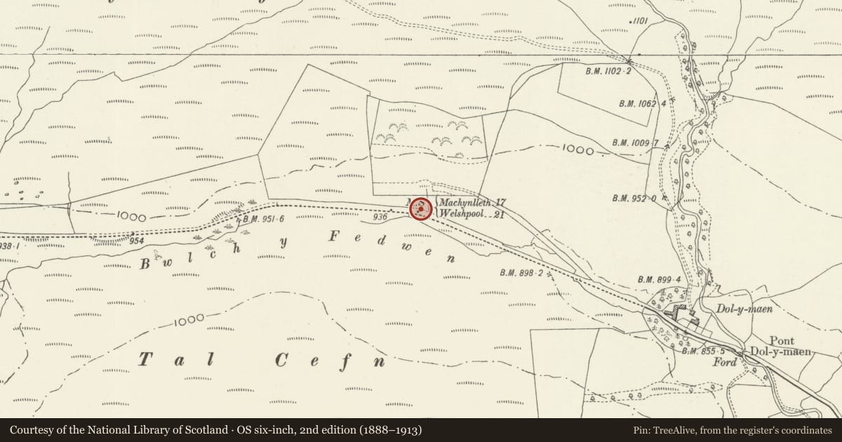 Ordnance Survey six-inch map, 2nd edition (1888–1913) covering the location of Milestone at Bwlch-y-Fedwen, Banwy, Powys, with a pin at the register's coordinates
