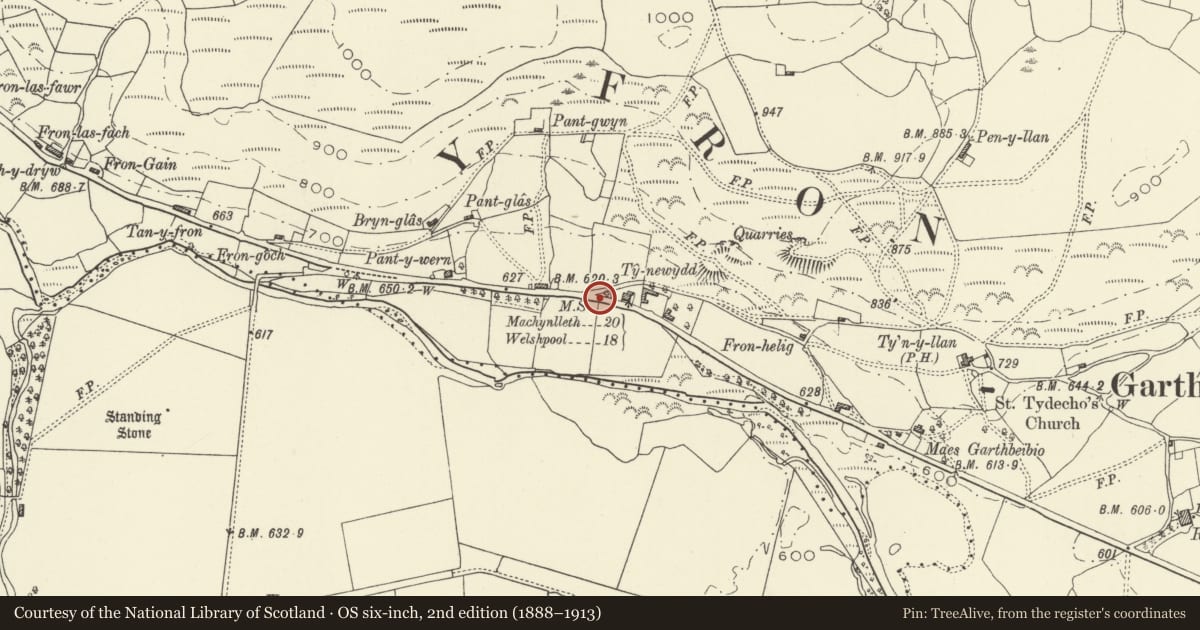 Ordnance Survey six-inch map, 2nd edition (1888–1913) covering the location of Milestone near Dyffryn Restaurant, Banwy, Powys, with a pin at the register's coordinates