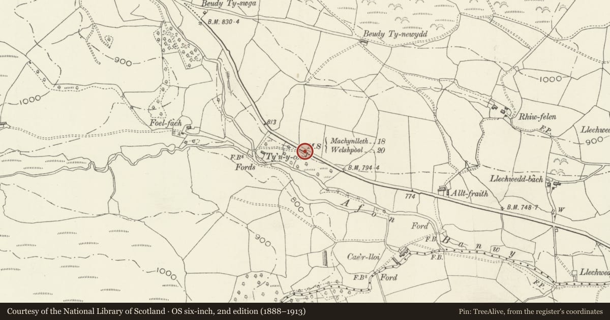Ordnance Survey six-inch map, 2nd edition (1888–1913) covering the location of Milestone near Foel-fach, Banwy, Powys, with a pin at the register's coordinates