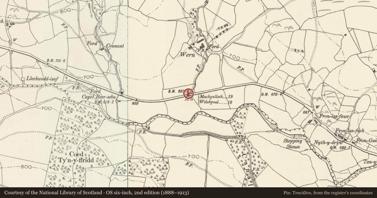 Ordnance Survey six-inch map, 2nd edition (1888–1913) covering the location of Milestone near Wern Farmyard, Banwy, Powys, with a pin at the register's coordinates