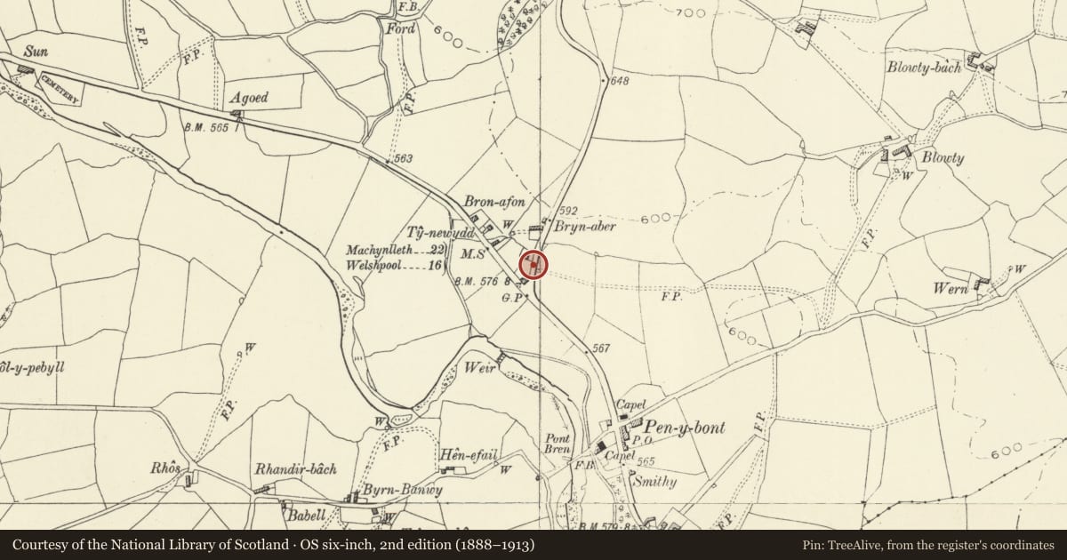 Ordnance Survey six-inch map, 2nd edition (1888–1913) covering the location of Milestone on B4395 near Glanaber, Banwy, Powys, with a pin at the register's coordinates