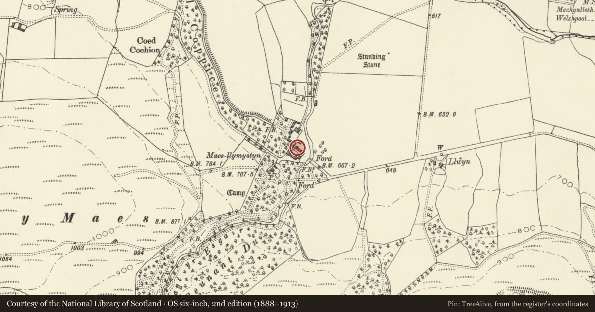 Ordnance Survey six-inch map, 2nd edition (1888–1913) covering the location of North Range of Farmyard Buildings at Maesllymystyn, Banwy, Powys, with a pin at the register's coordinates