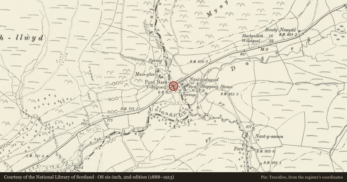 Ordnance Survey six-inch map, 2nd edition (1888–1913) covering the location of Pont Nant-y-dugoed (partly in Mawddwy community), Banwy, Powys, with a pin at the register's coordinates