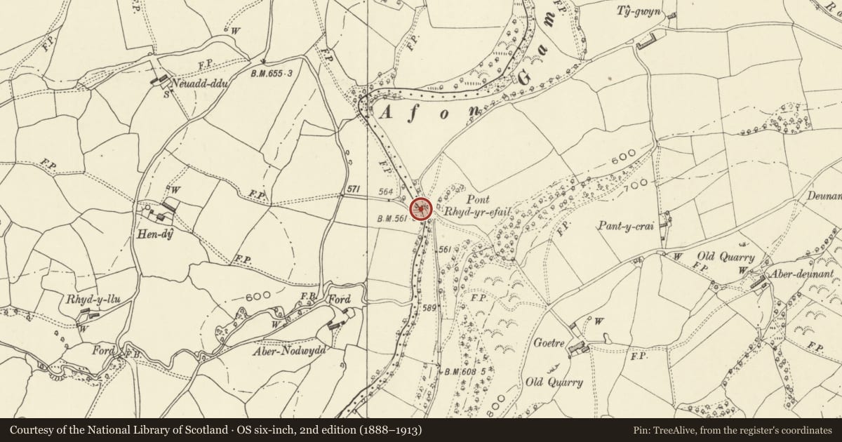 Ordnance Survey six-inch map, 2nd edition (1888–1913) covering the location of Pont Rhyd-yr-efail (partly in the community of Llanerfyl), Banwy, Powys, with a pin at the register's coordinates