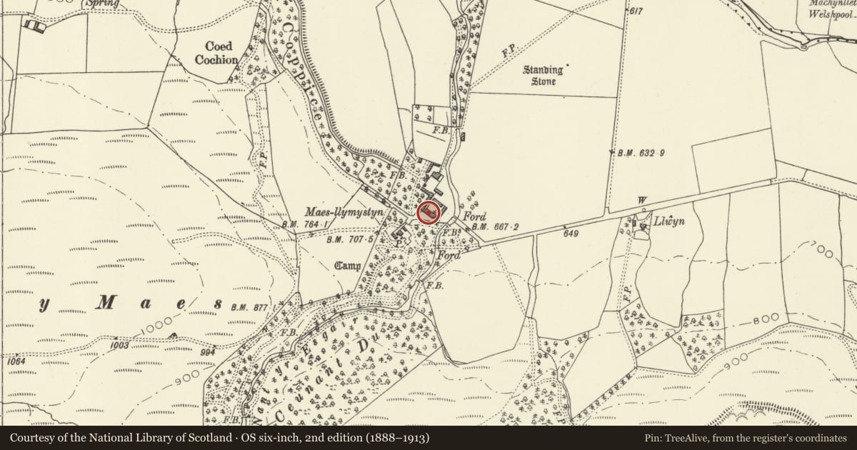 Ordnance Survey six-inch map, 2nd edition (1888–1913) covering the location of South Range of Farmyard Buildings at Maesllymystyn, Banwy, Powys, with a pin at the register's coordinates